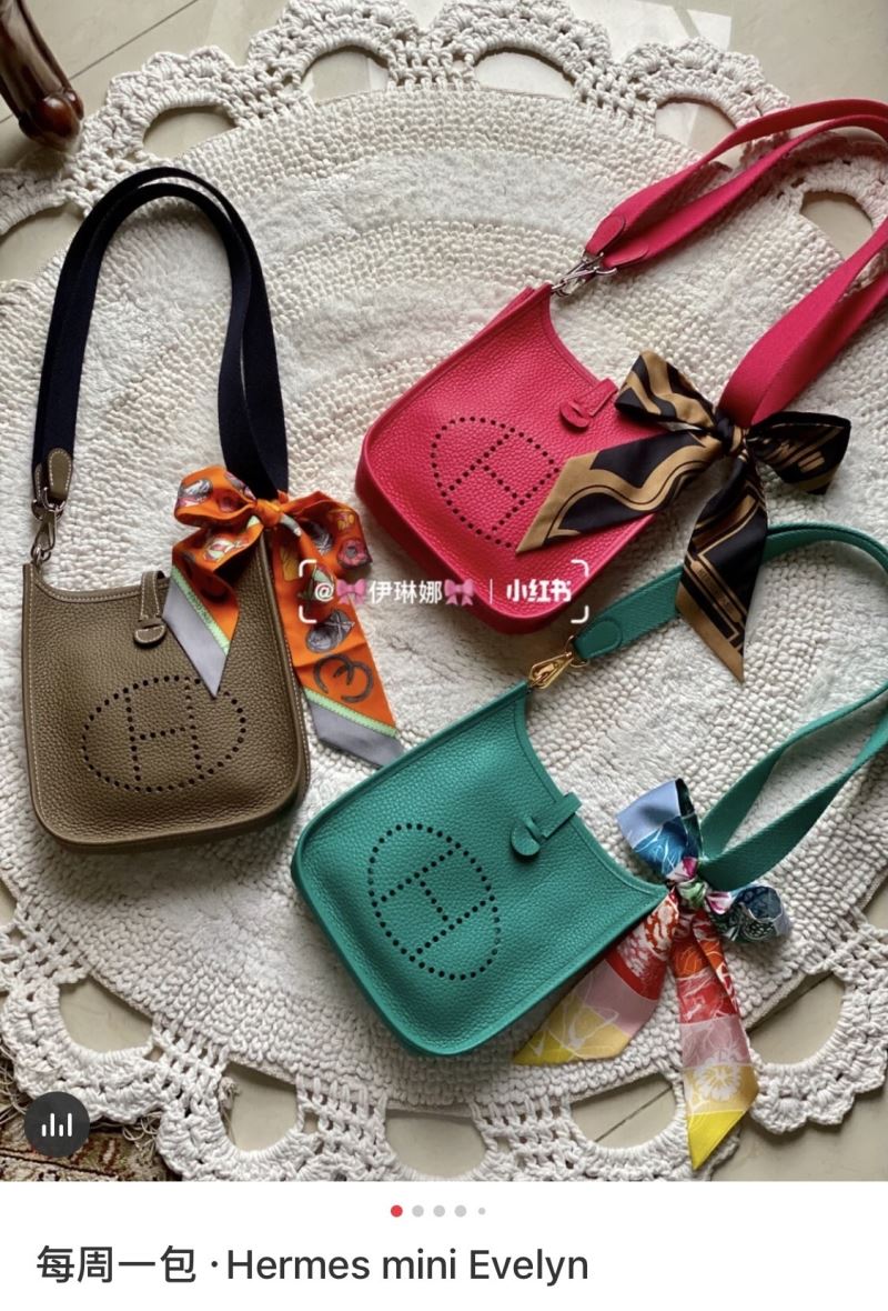 Hermes Evelyn Bags